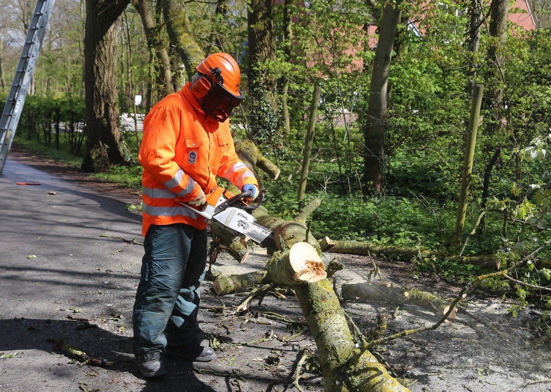 Grote tak breekt af Westeinde Noordwijkerhout